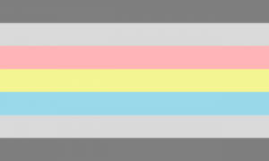Bandeira demiflux de borda redonda: sete faixas das cores cinza escuro, cinza, rosa, amarelo, azul, cinza e cinza escuro.